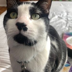 Meet your Posher, Roe